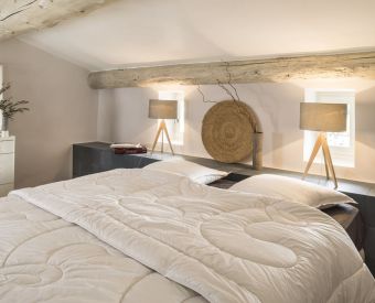 Couette CAMARGUE 300 - Brun de Vian Tiran