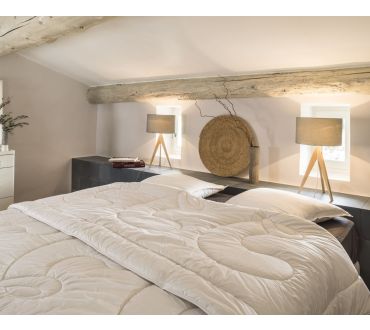 Couette CAMARGUE 300 - Brun de Vian Tiran